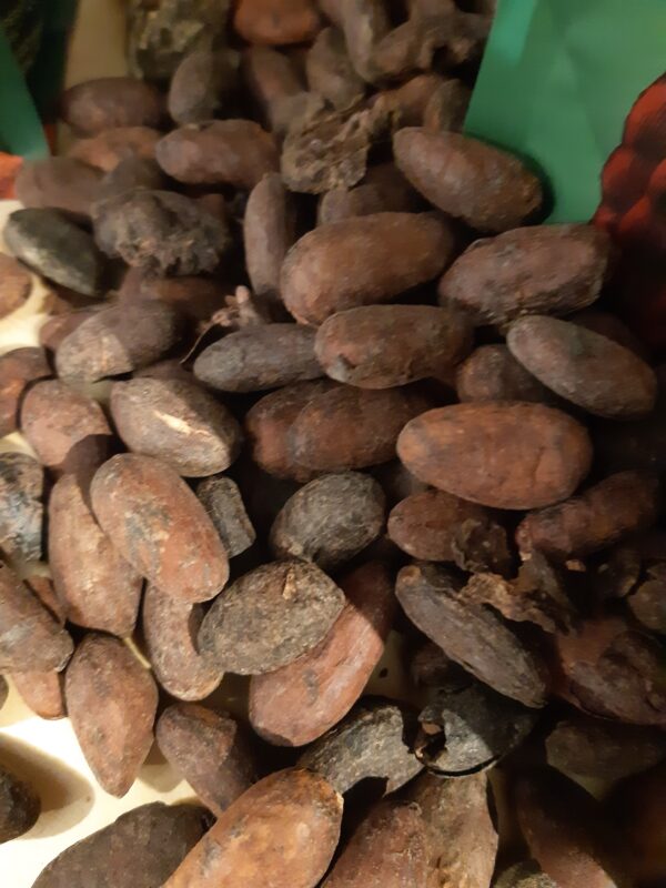 Stokerij-eenvoud Cacaolikeur